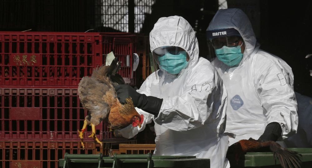 China outbreaks another bird flu virus, while being ...