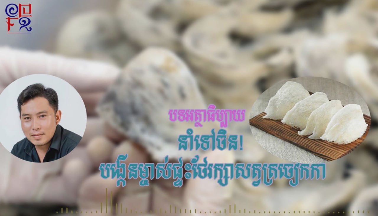 បទអត្ថាធិប្បាយ ៖ នាំទៅចិន! បង្កើនម្ចាស់ផ្ទះថែរក្សាសត្វត្រចៀកកាំ
