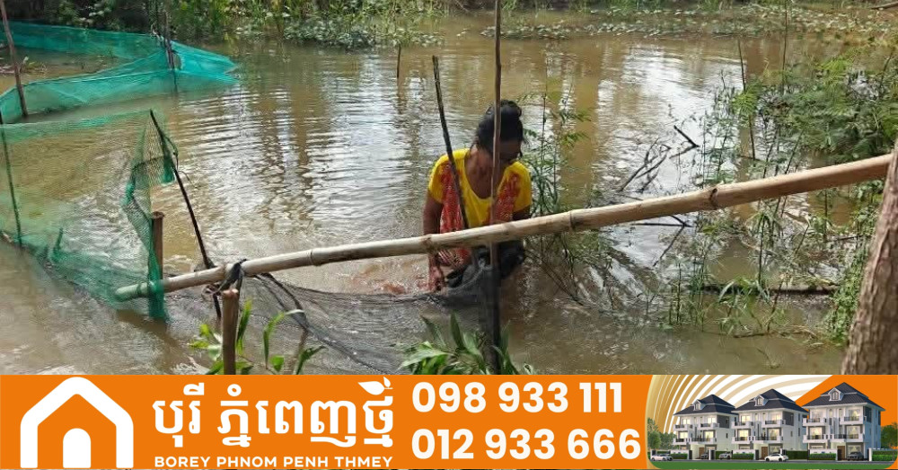 រដ្ឋបាលក្រុងសិរីសោភ័ណ បើកយុទ្ធនាការ បោសសម្អាតស្បៃមុង បិតផ្លូវទឹកក្នុងរដូវត្រីពង